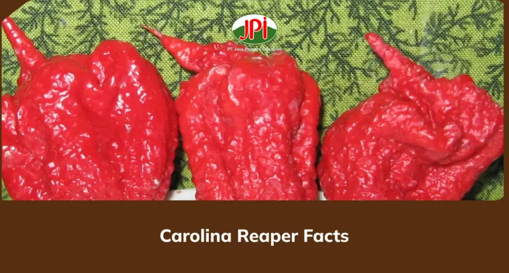 Carolina Reaper Facts