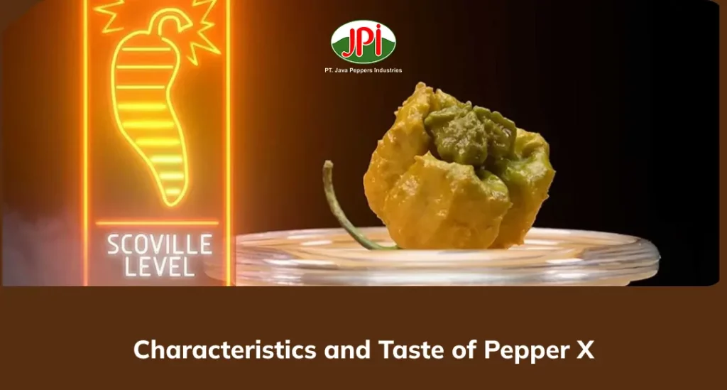 Characteristics and Taste of Pepper X