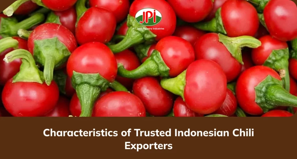 Characteristics of Trusted Indonesian Chili Exporters