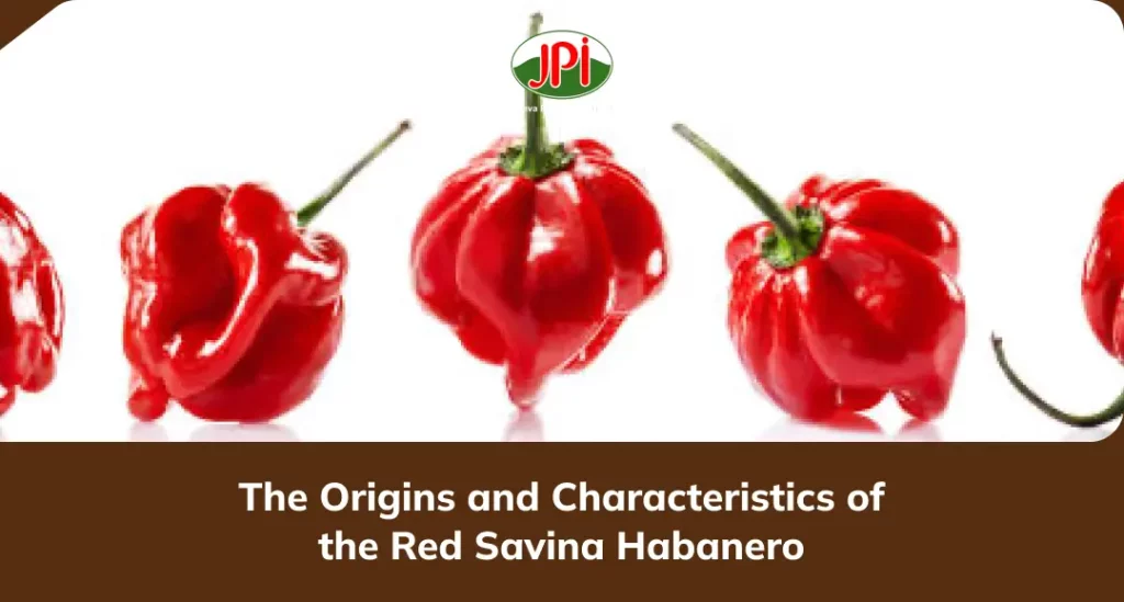 The Origins and Characteristics of the Red Savina Habanero