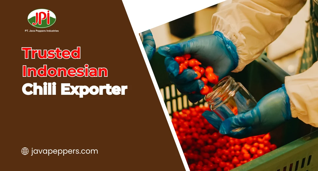 Trusted Indonesian Chili Exporter