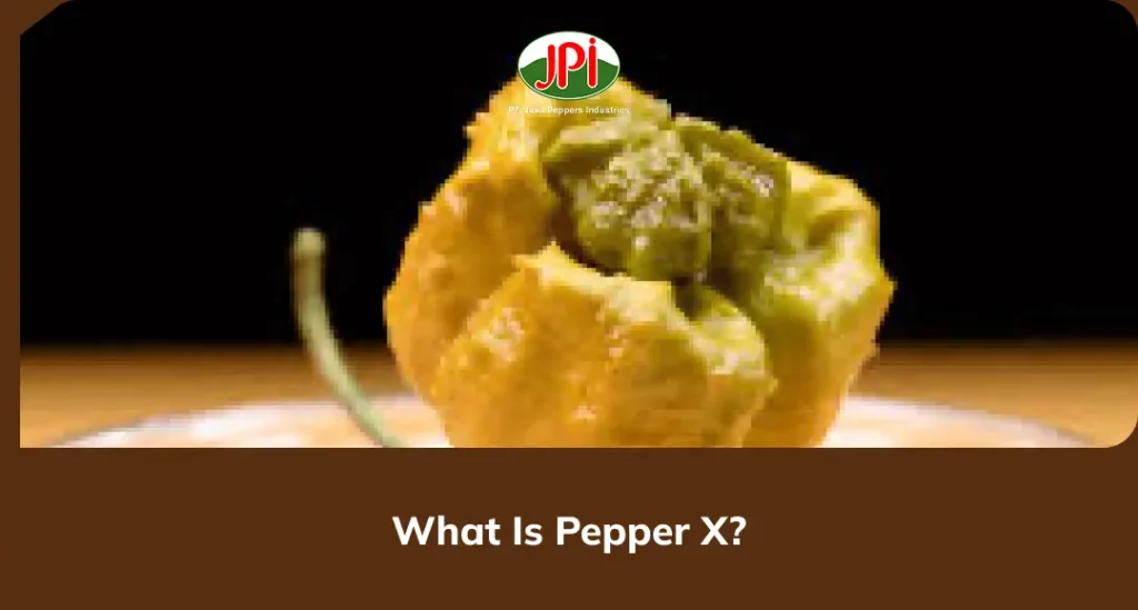 What Is Pepper X