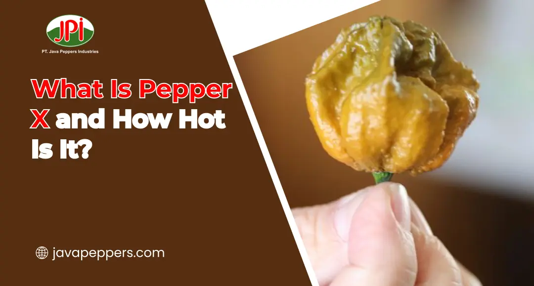 What Is Pepper X and How Hot Is It?