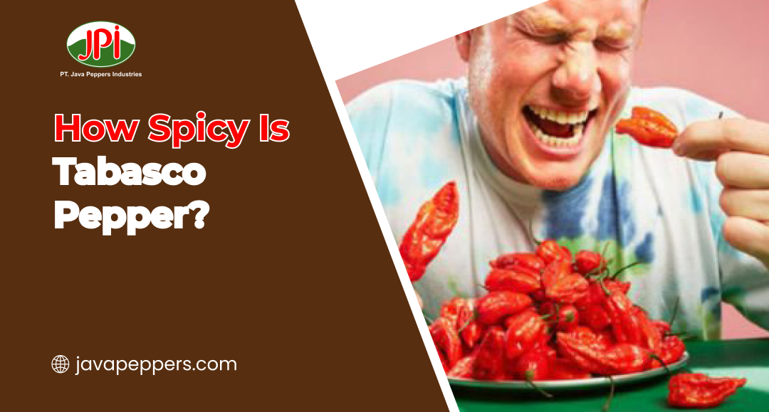 How Spicy Is Tabasco Pepper?