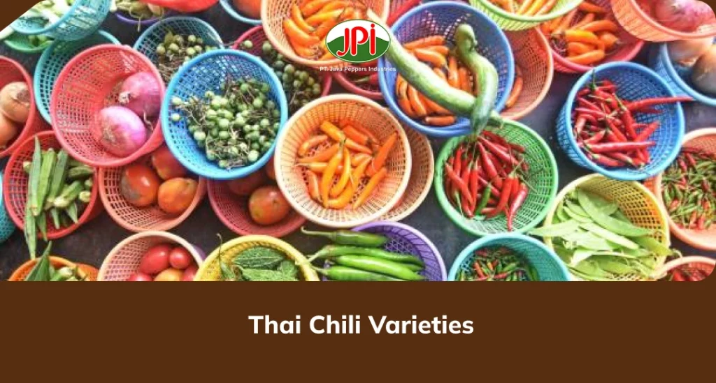 Thai Chili Varieties