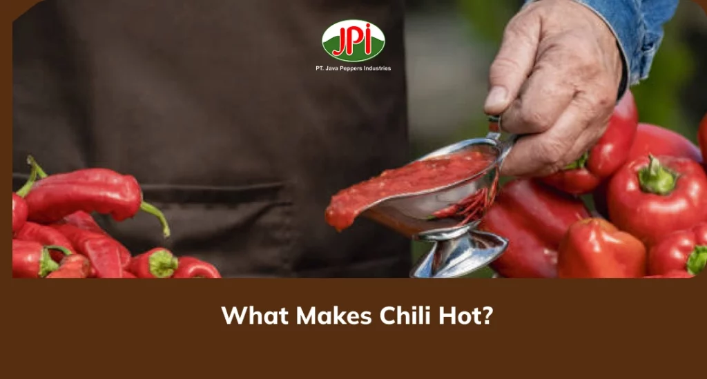 What Makes Chili Hot