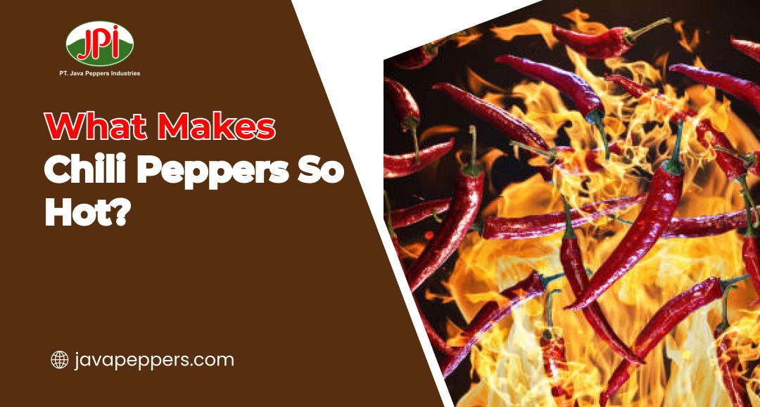 What Makes Chili Peppers So Hot?