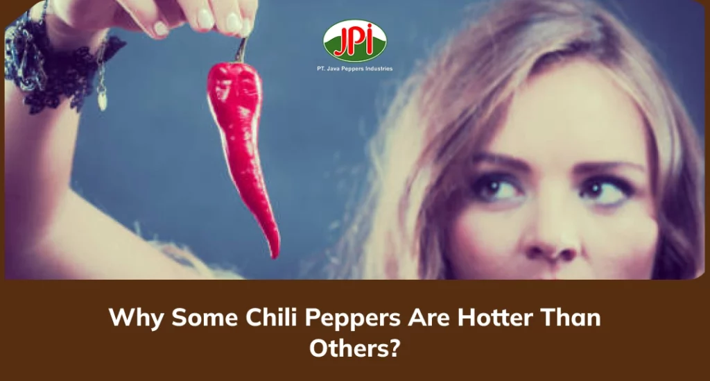 Why Some Chili Peppers Are Hotter Than Others