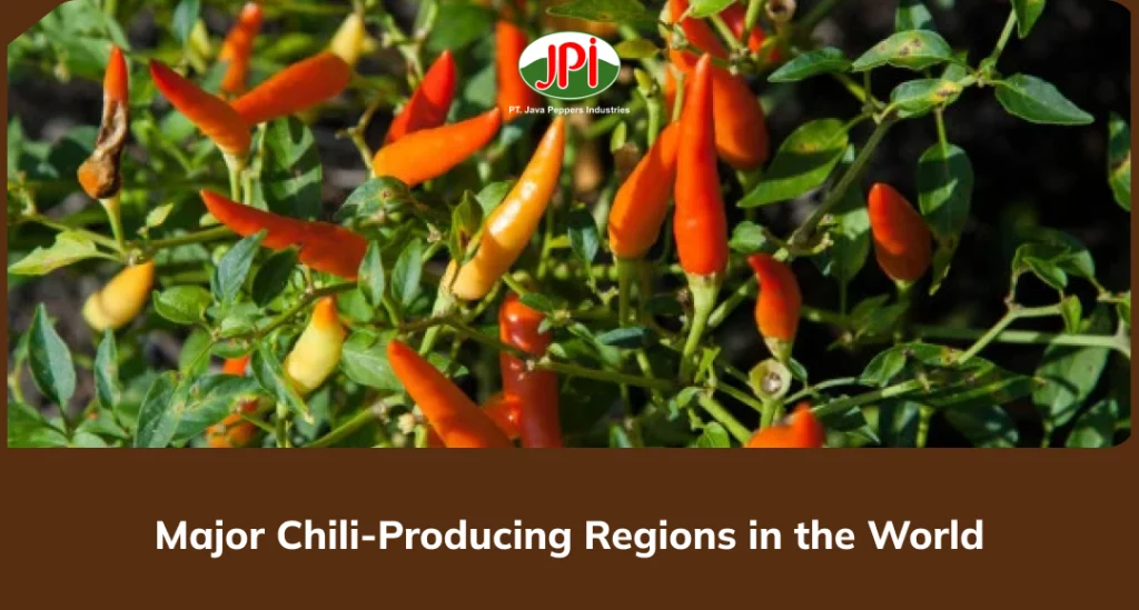 Major Chili-Producing Regions in the World