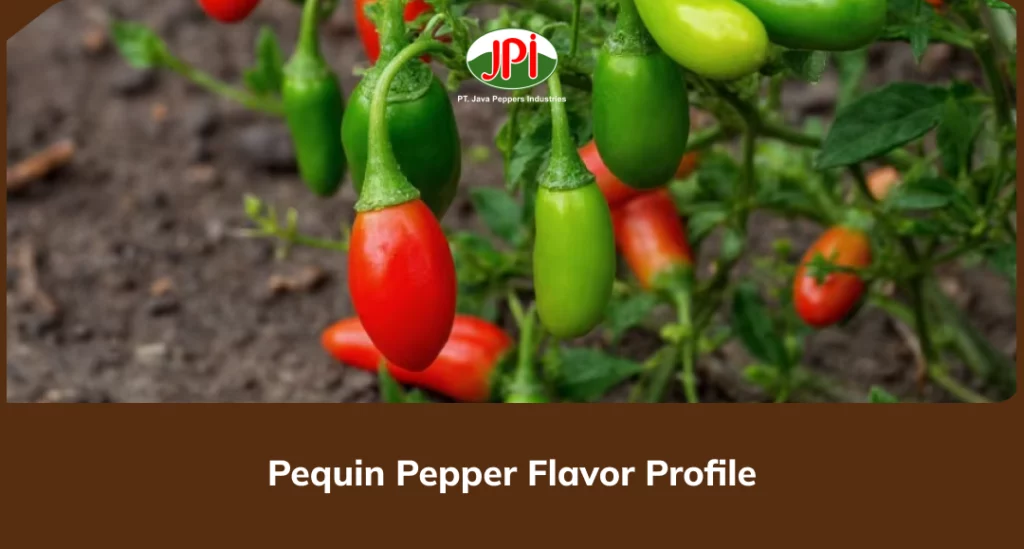 Pequin Pepper Flavor Profile (2)