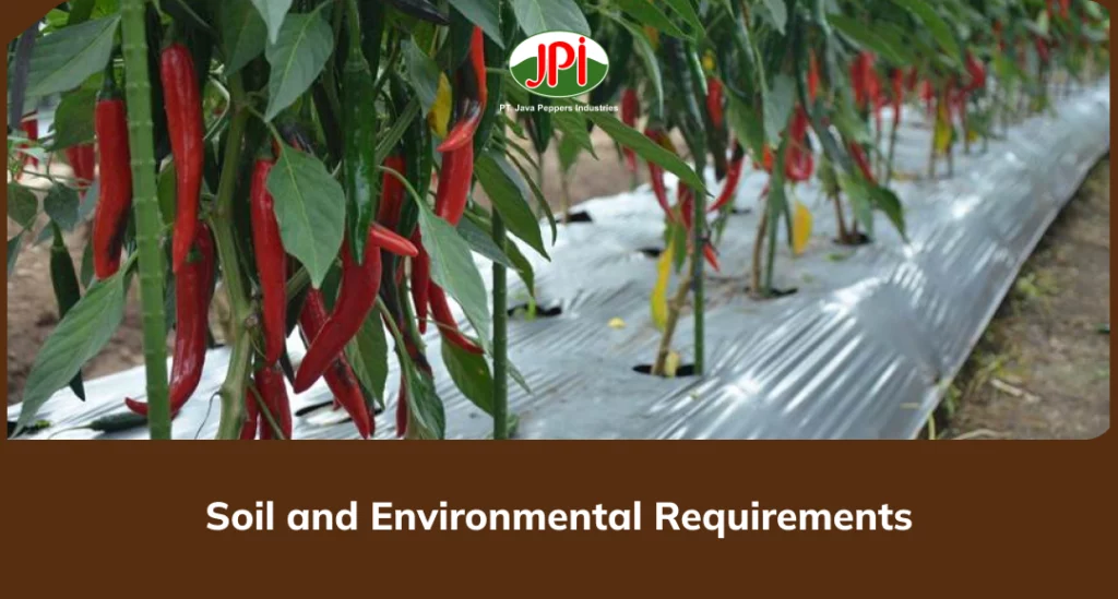 Soil and Environmental Requirements