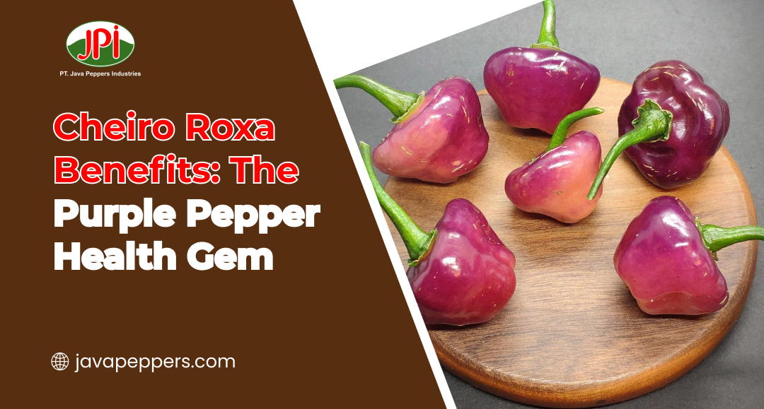 Cheiro Roxa Benefits: The Purple Pepper Health Gem