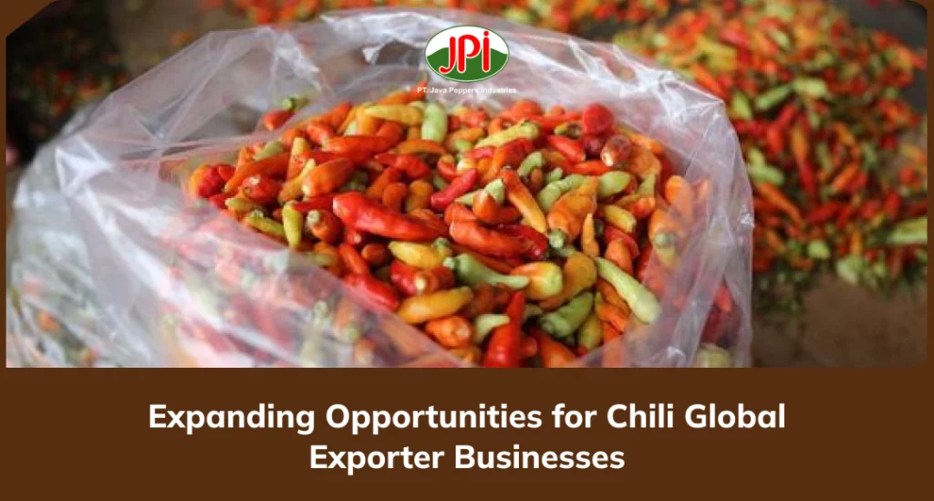Expanding Opportunities for Chili Global Exporter Businesses