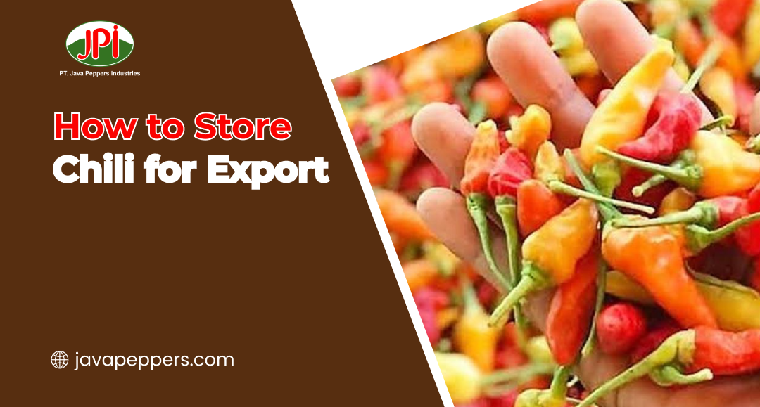 How to Store Chili for Export