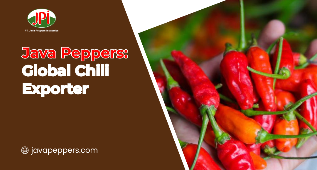 Java Peppers: Global Chili Exporter