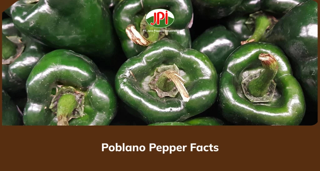 Poblano Pepper Facts