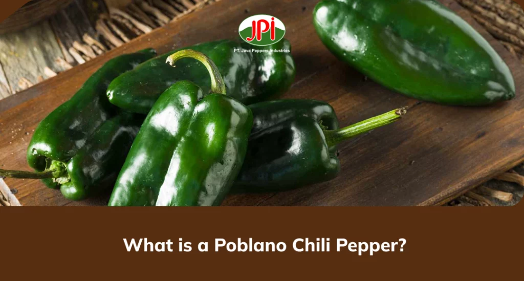 What is a Poblano Chili Pepper