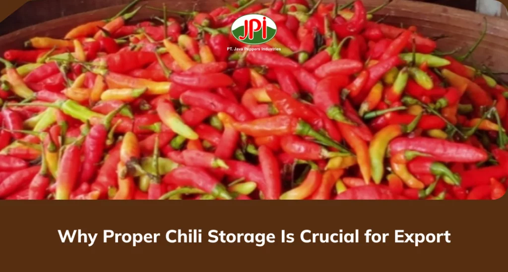 Why Proper Chili Storage Is Crucial for Export