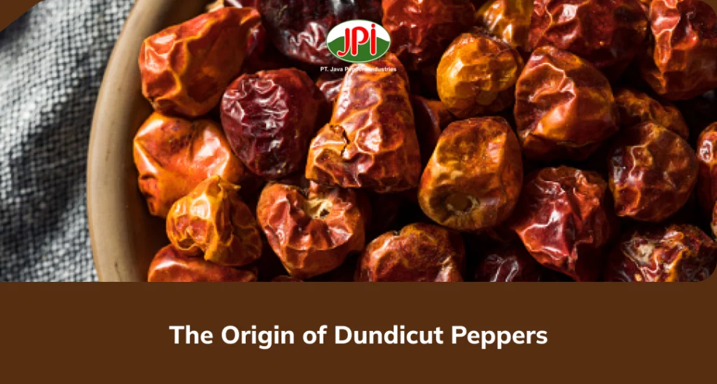 The Origin of Dundicut Peppers