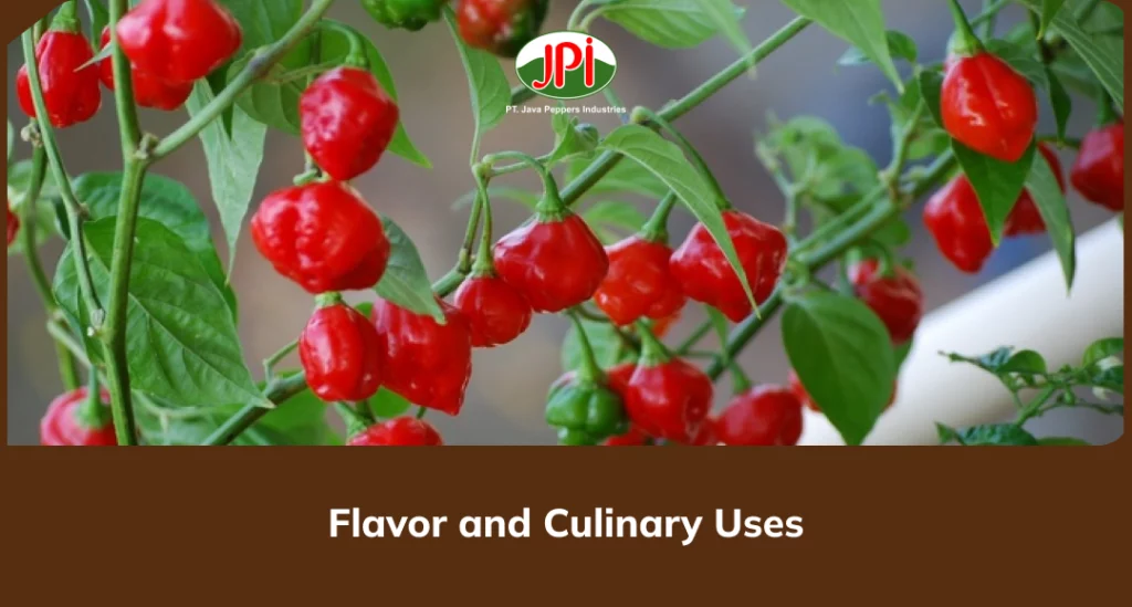 Flavor and Culinary Uses