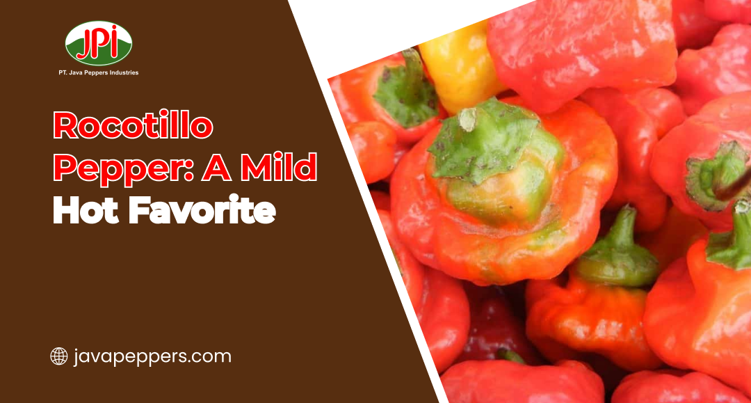 Rocotillo Pepper: A Mild Hot Favorite