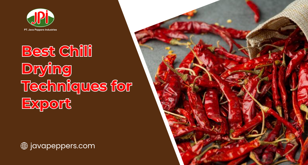 Best Chili Drying Techniques for Export