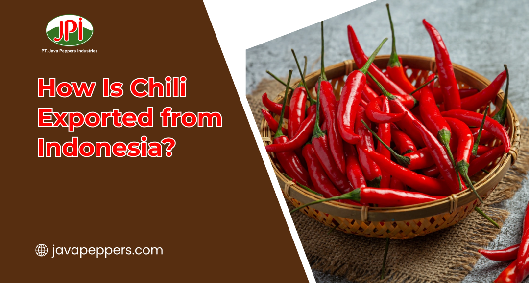 How Is Chili Exported from Indonesia?