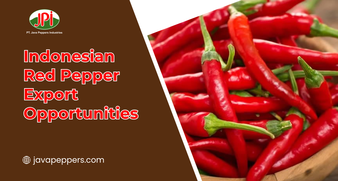 indonesian_red_pepper_export_opportunities