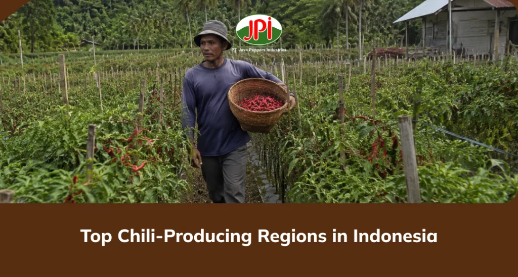 top_chili_producing_regions_in_indonesia