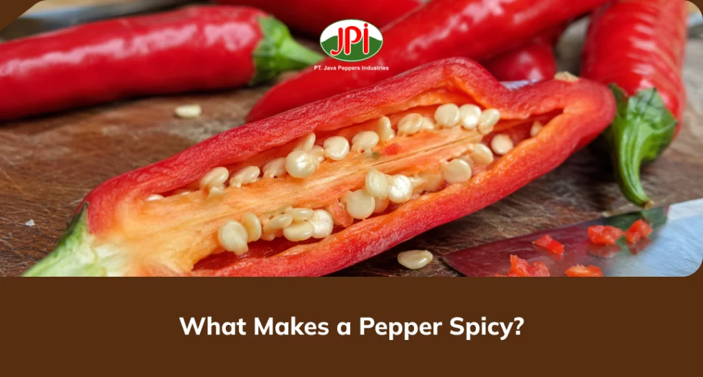 what_makes_a_pepper_spicy_
