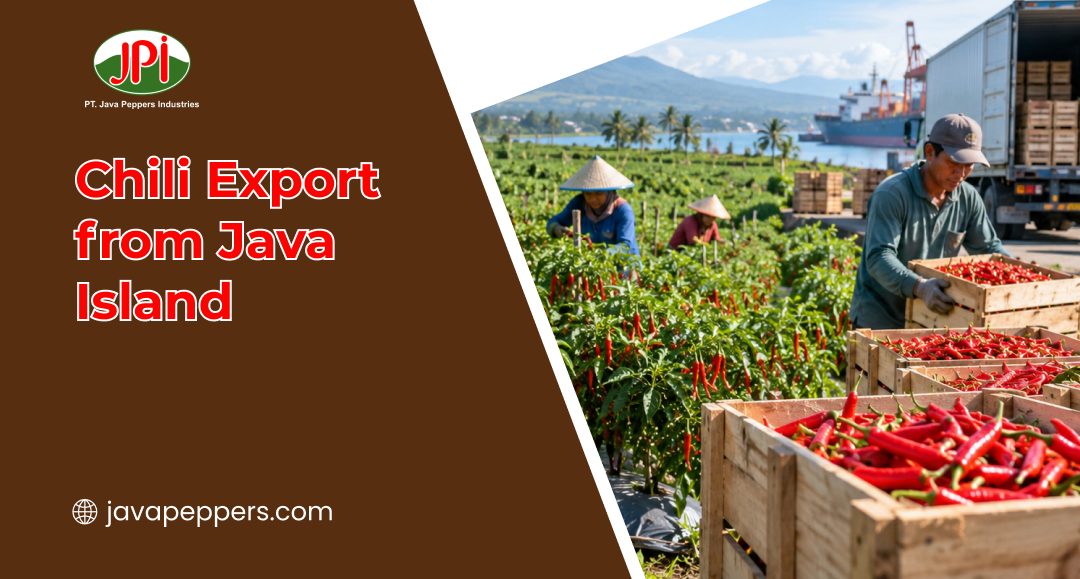 chili_export_from_java_island