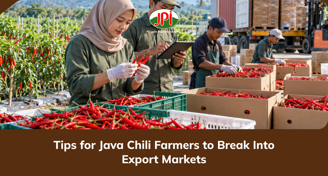 tips_for_java_chili_farmers_to_break_into_export_markets