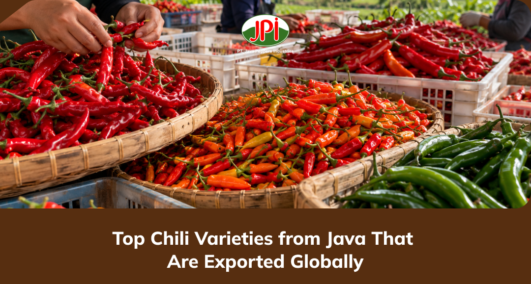 top_chili_varieties_from_java_that_are_exported_globally
